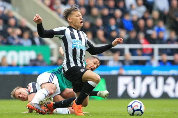 天赋异禀的 天赋异禀的